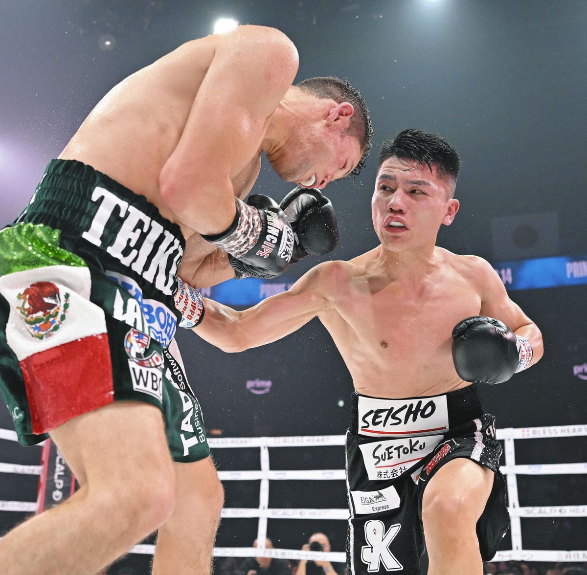 ボクシング】坪井智也、元世界王者を圧倒TKO！ 世界選手権金メダリスト