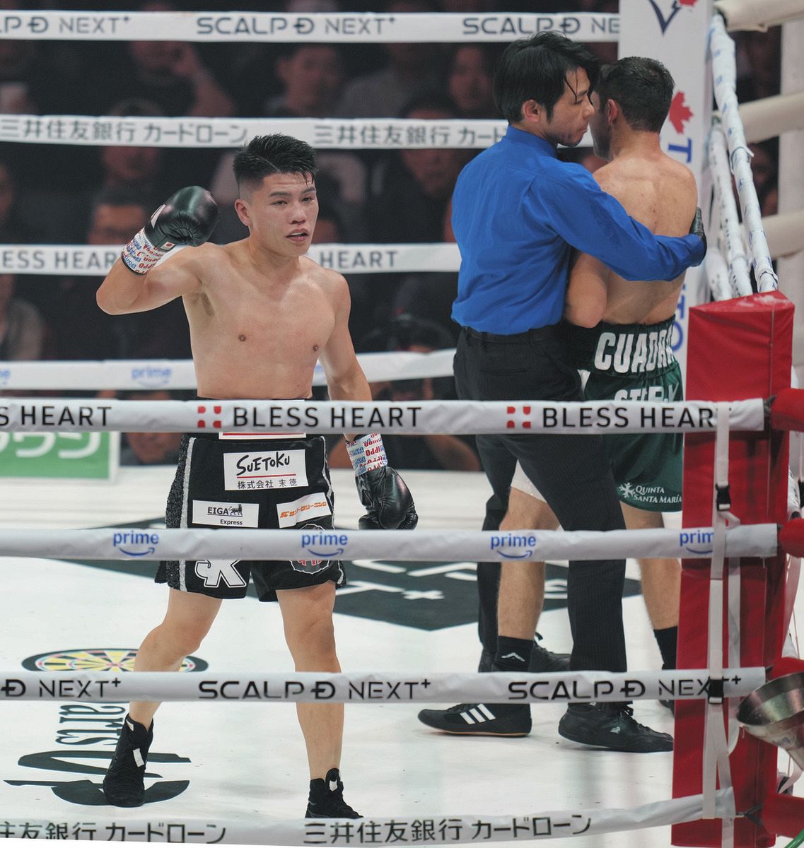 ボクシング】坪井智也、元世界王者を圧倒TKO！ 世界選手権金メダリスト