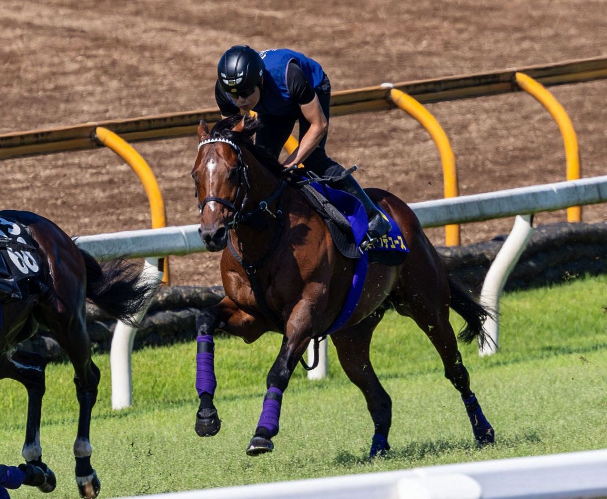 ドウデュースは年内引退、秋は国内に専念 キーファーズの松島正昭