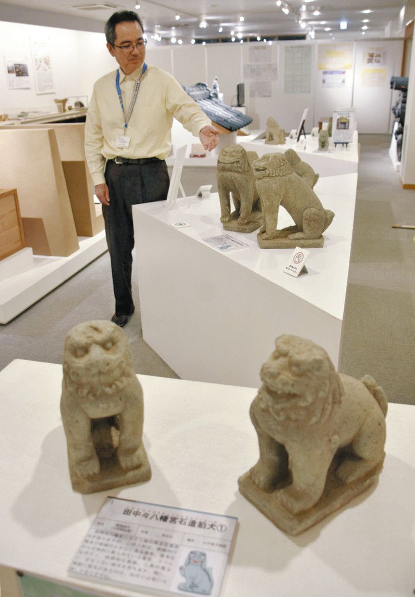 戦国時代の狛犬10体初公開 あわら郷土歴史資料館：日刊県民福井Web