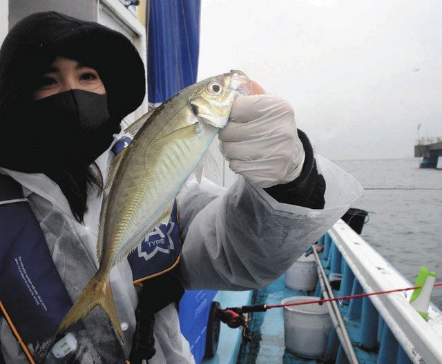 江戸前の極上アジを釣って干物に 浦安 岩田屋 のおかみさん流を紹介 中日スポーツ 東京中日スポーツ