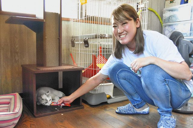 舩木さんの手から餌を食べるアオくん＝いずれも坂井市三国町で 