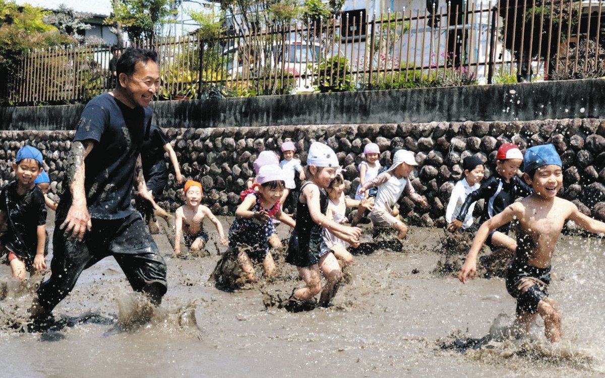 田んぼで泥遊び、園児大はしゃぎ 四日市の幼稚園：中日新聞Web