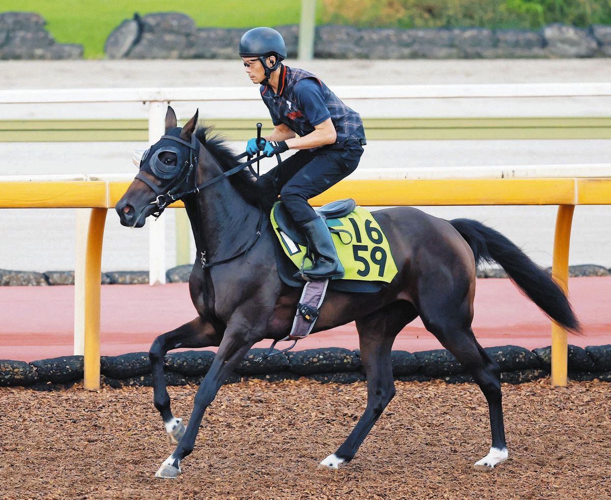 メジャーエンブレム 現地的中引退レース単勝馬券 メジャーエンブレム