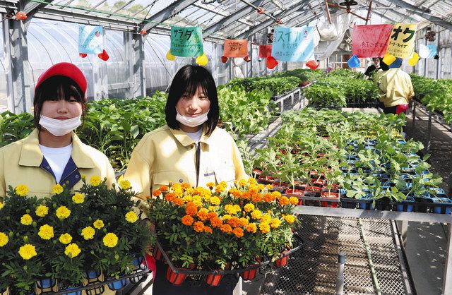 農場で育てた野菜と花の苗を紹介する生徒＝甲賀市甲南町で 