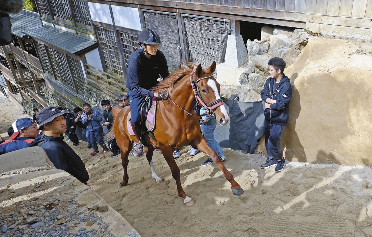 上げ馬神事改善策「検討しっかりしていただいた」一見知事：中日新聞Web