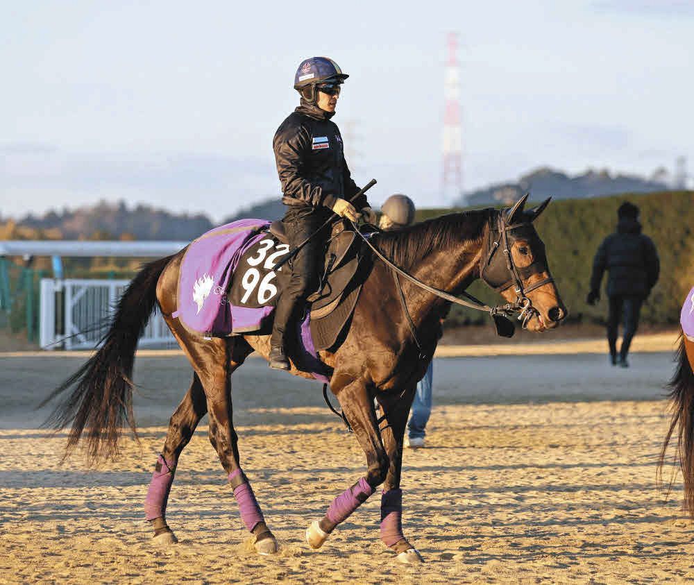 傾向と対策・京都新聞杯】キズナ産駒が好相性、川田騎手は連対率