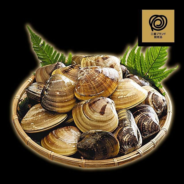 私のハマグリ エピソードを紹介 中日新聞web