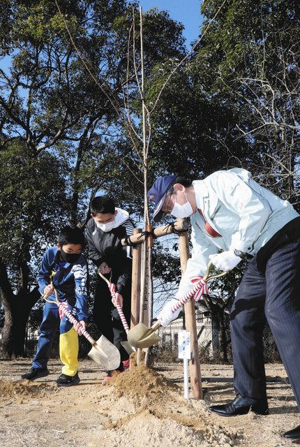 ことしは河津桜植える 亀山 井田川小に苗木５本 中日新聞web