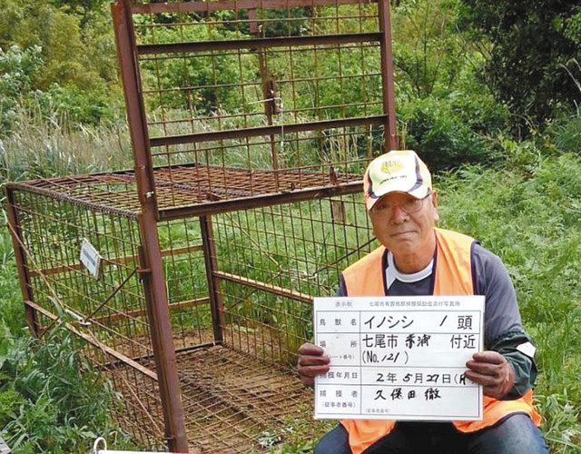 知恵比べ イノシシに勝利 七尾の久保田さん 戦い３カ月 捕獲 北陸中日新聞web