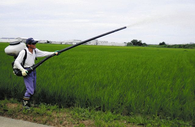 石川】ピロール農法 芽吹く 有機栽培 栄養価高い米に：北陸中日新聞Web