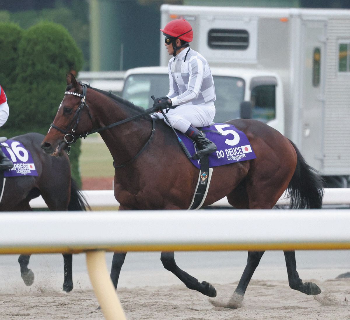 有馬記念追い切り ドウデュース武豊「状態は良さそう」、友道師は