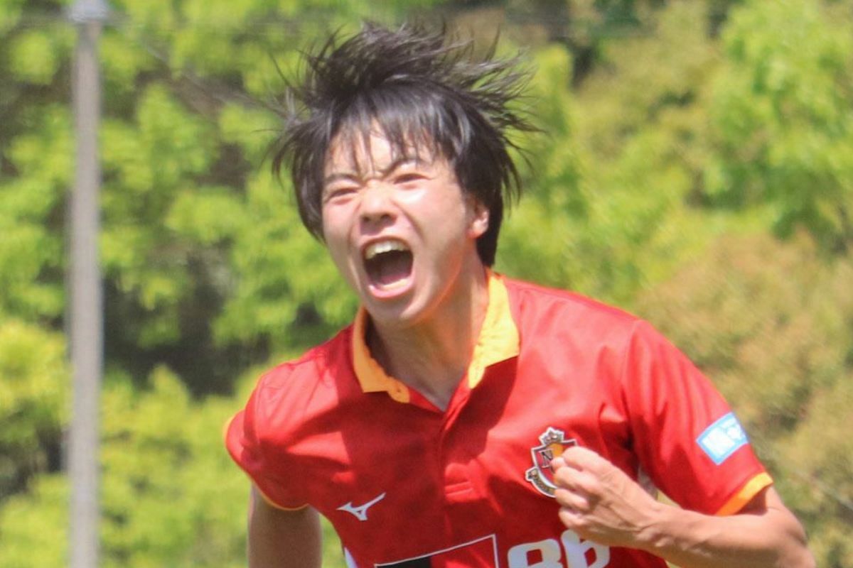 GPらんちゅう＞ 最強更紗 浜松 杉浦智氏 らんちゅう 当歳 13cm