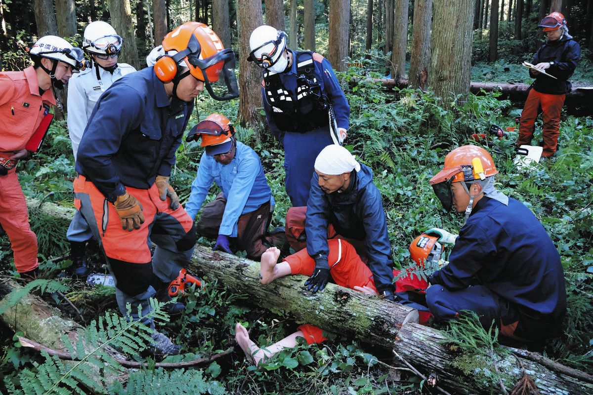 倒木の下敷きに…救助手順を実践 関で森林技術者ら「レスキュー訓練