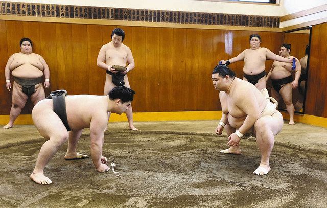 合同稽古見送りの正代、時津風親方の処分20日に決定「自分たちとしては