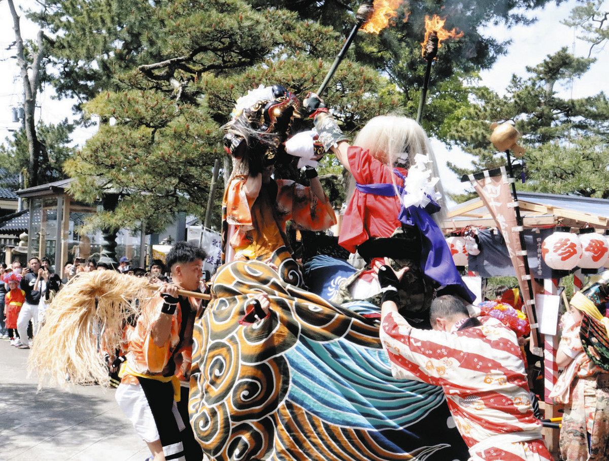 獅子舞 8団体豪快演舞 射水、放生津八幡宮境内で：北陸中日新聞Web