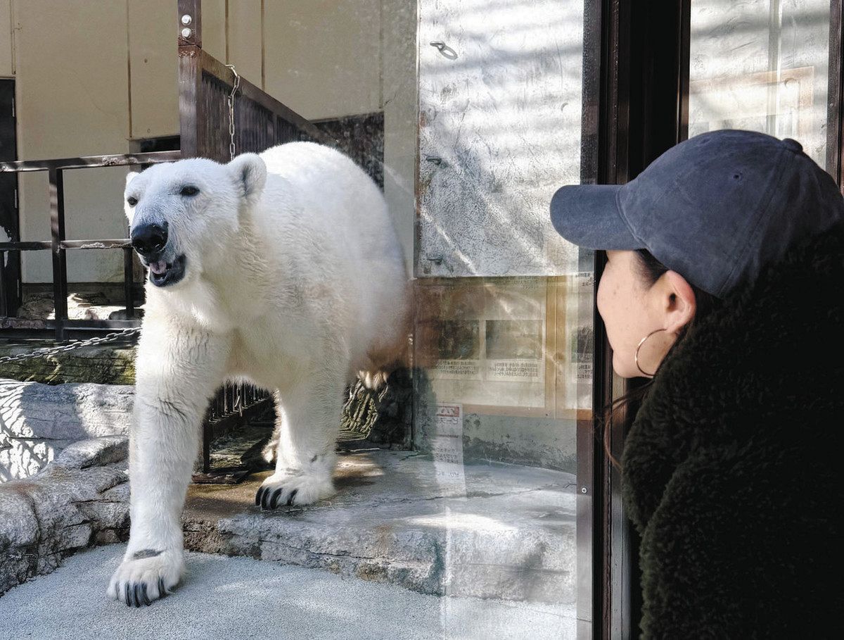 ピースが教えてくれたこと：中日新聞しずおかWeb