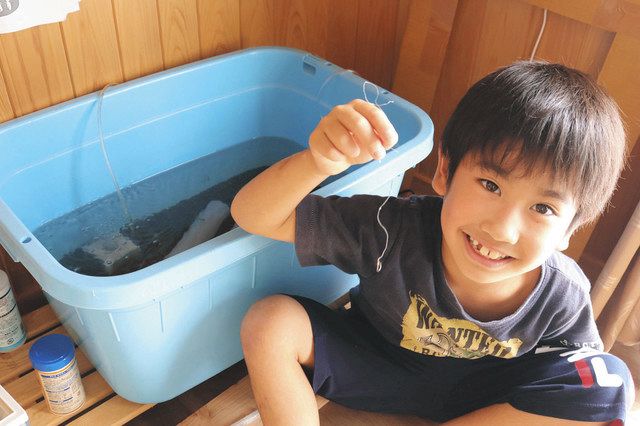 うなうな【PSA10】 PSA10鑑定済〕ウタ【P】{P-031}