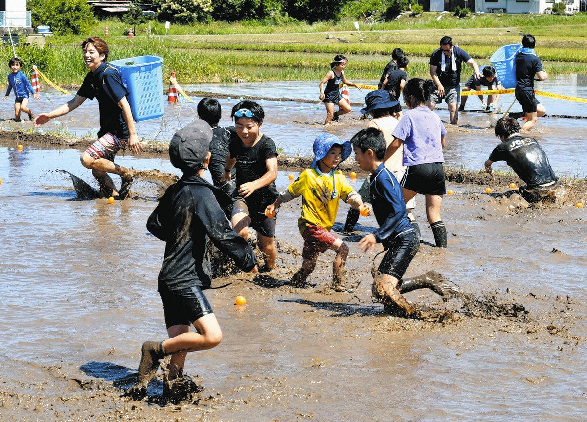 大人も子どもも田んぼ遊び 「みたけどろんこ運動会」70人が熱中：中日