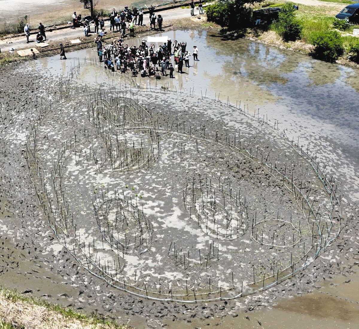 大人も子どもも田んぼ遊び 「みたけどろんこ運動会」70人が熱中：中日