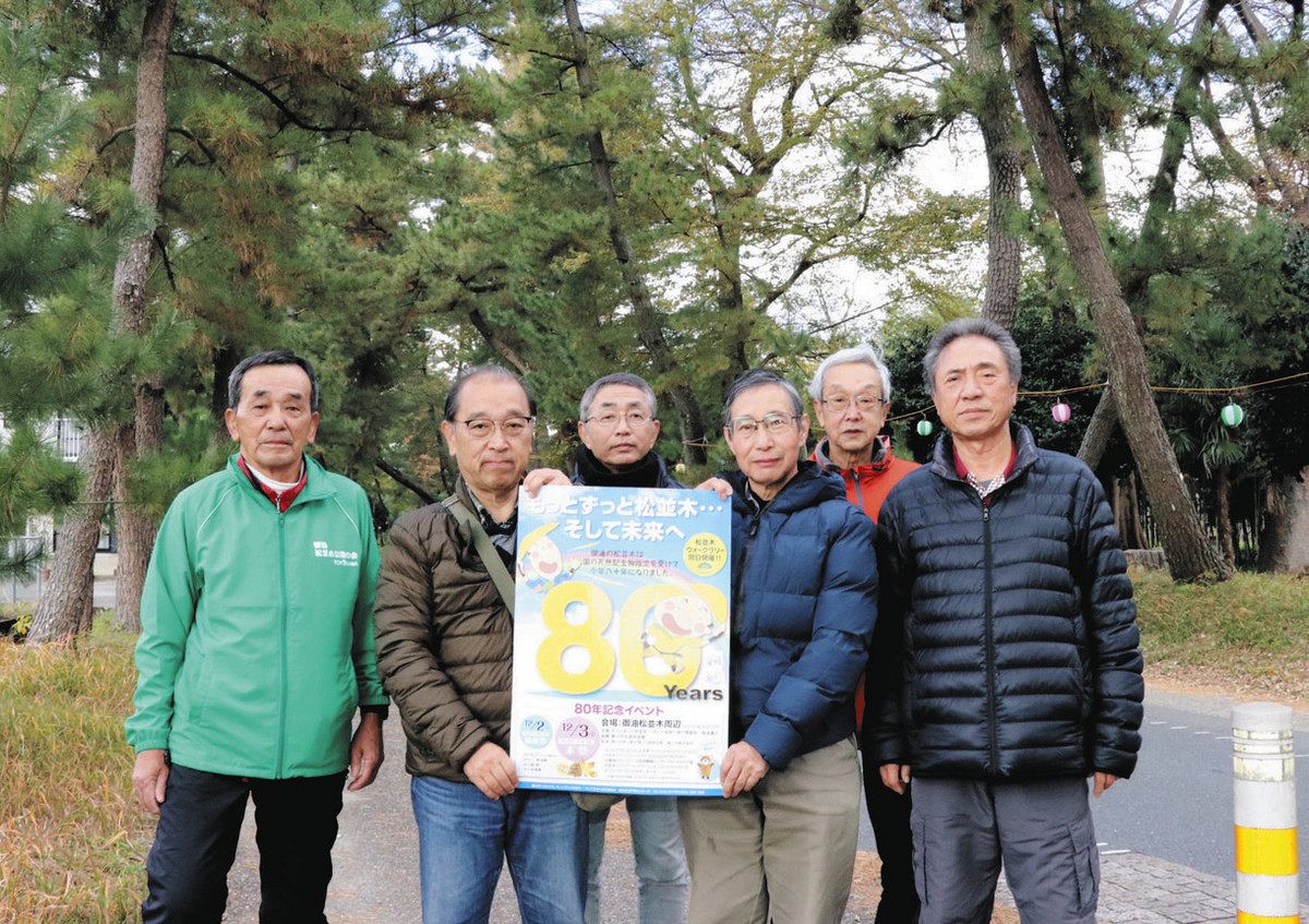 御油の松並木、国天然記念物指定80年目 3日まで記念行事、景観を後世に引き継ぐ:中日新聞Web