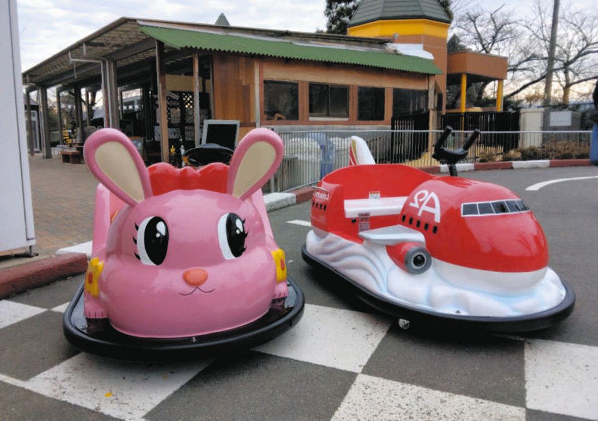 休日は順番待ちのバッテリーカーを1台増やしたい！ 飯田市立動物園
