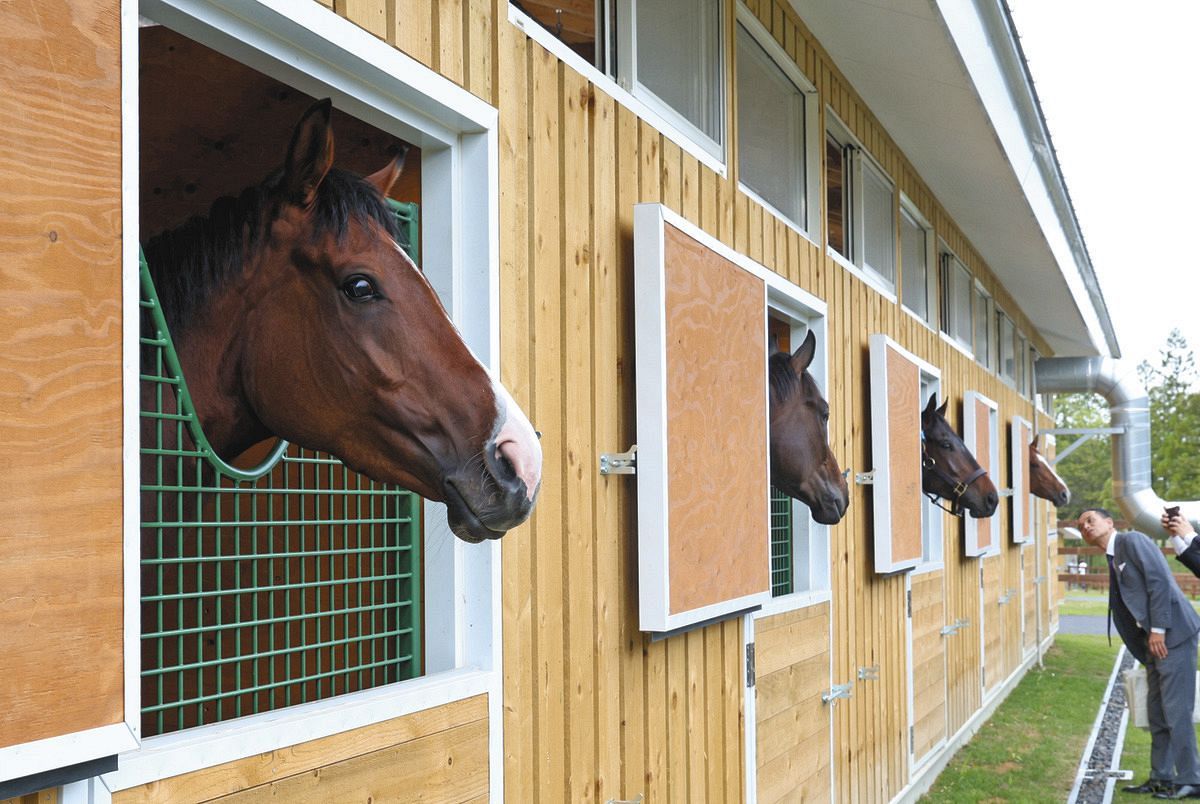 サラブレッドの前線基地に」競走馬トレーニング施設「社台ファーム鈴鹿