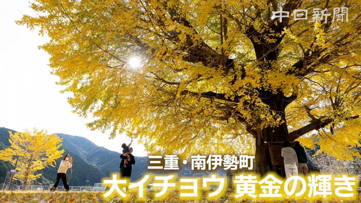 b629cf02434272a88fec81a234f7f9