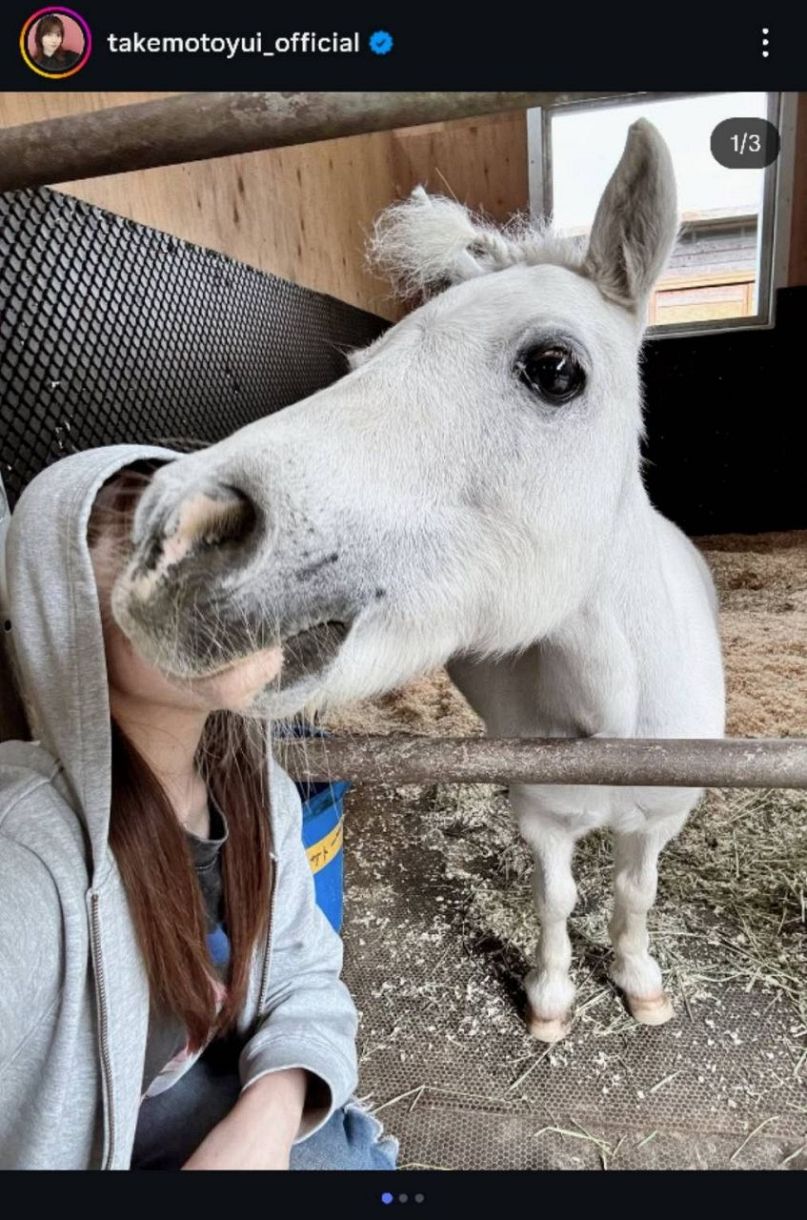 実際の投稿】武元唯衣、馬と衝撃のツーショット「食べられてても可愛い