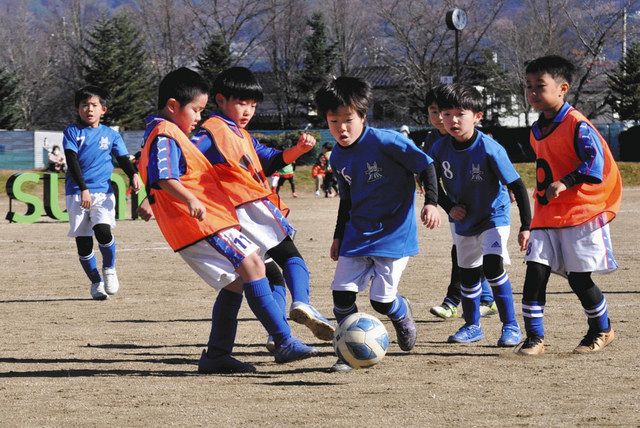 懸命にボール追う サッカー 塩尻でｕ ８サンプロカップ 中日新聞web