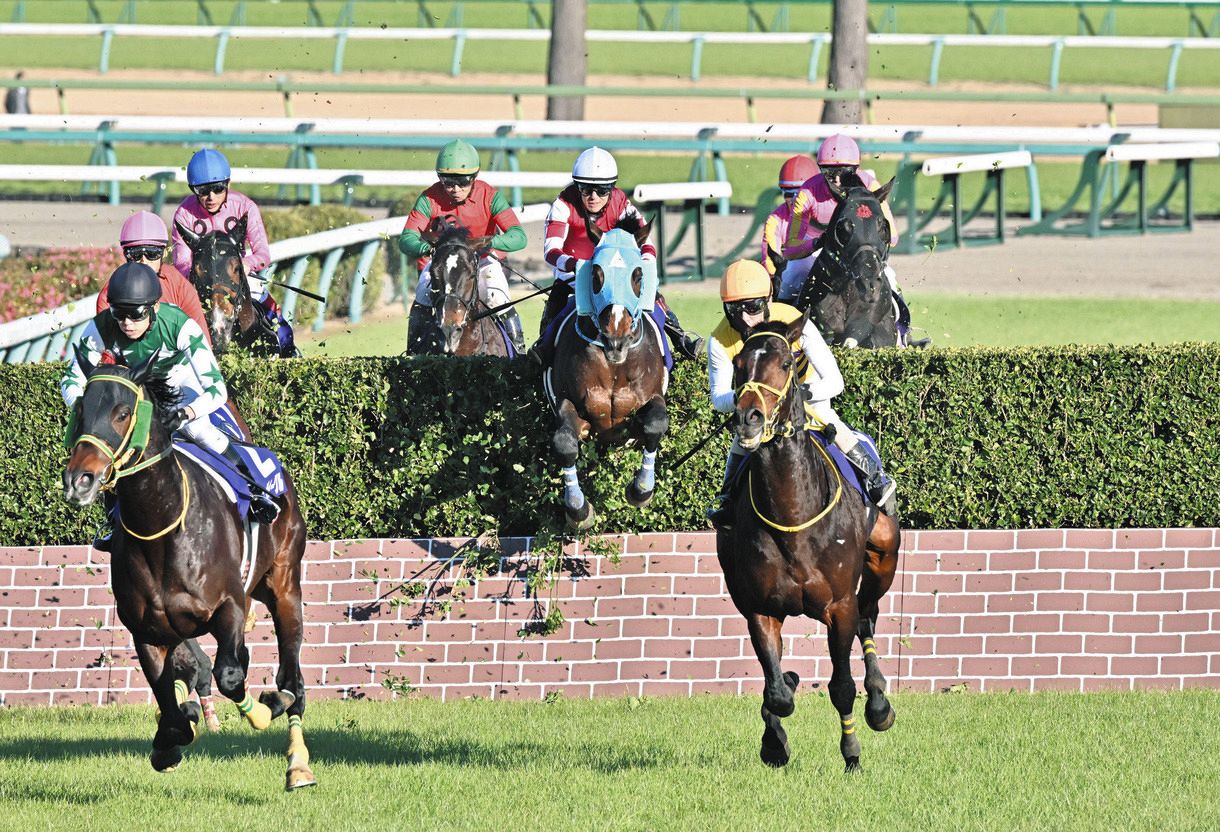 障害界の絶対王者』オジュウチョウサン、引退レースは6着に終わる【中山大障害】：中日スポーツ・東京中日スポーツ