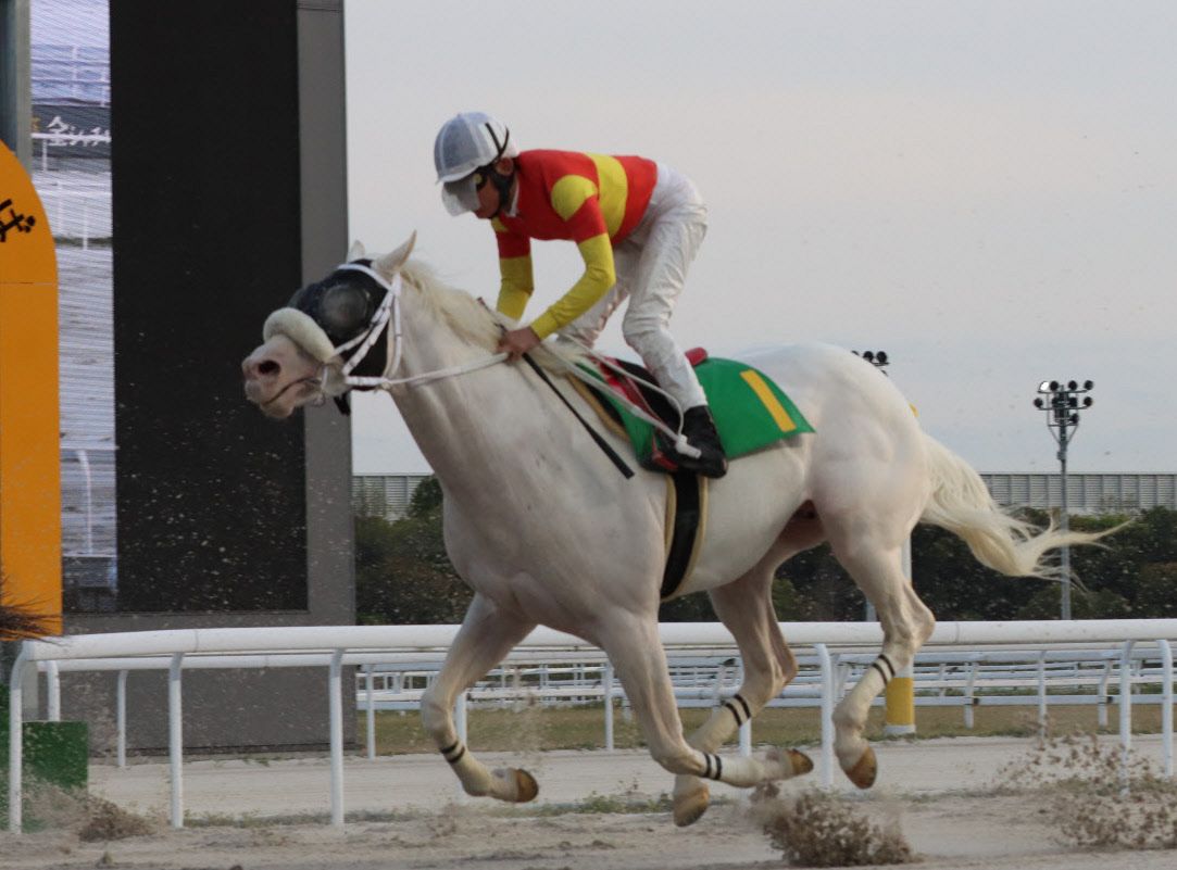 久しぶりのアイドルホース出走にSNS盛り上がる 父ゴールドシップの白