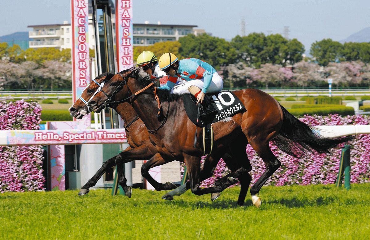 阪神10R・大阪―ハンブルクC】断然1番人気ウィクトルウェルスがゴール