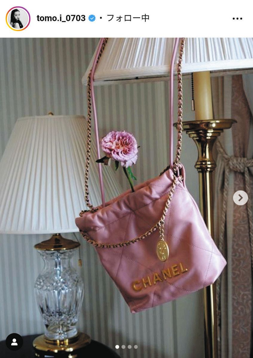 ◇板野友美が購入した高級ブランドバッグ【写真】：中日スポーツ・東京