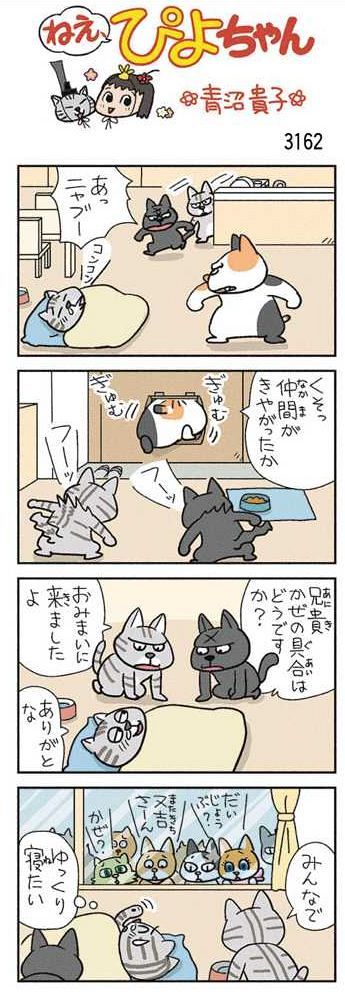 ねえ、ぴよちゃん：中日新聞Web