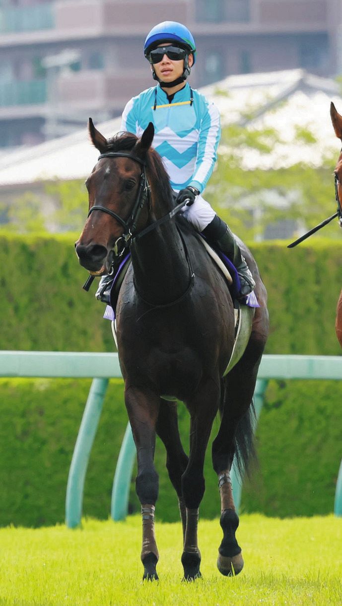 宝塚記念以来のデアリングタクト CW6F78秒6自己新 松山「いい時
