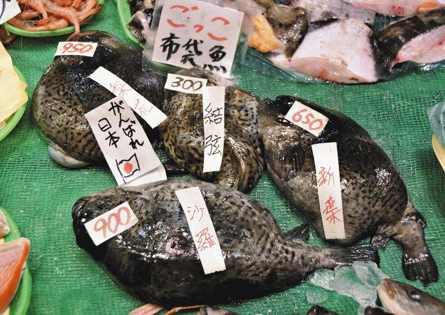 昌磨」も「沙羅」もピチピチだよ！ 函館の鮮魚店、商品に五輪選手名