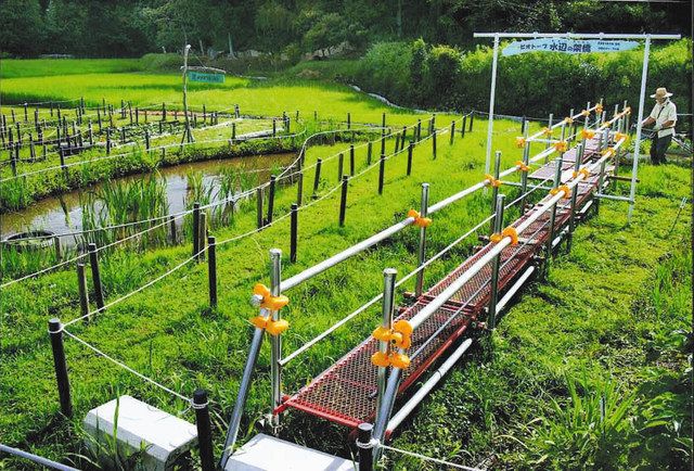 ビオトープ散策路で水辺の生物観察を 新城の鳥原区住民が整備 中日新聞web