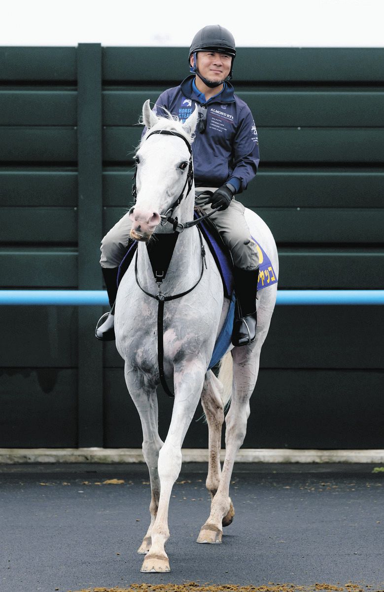 やっこさま専用レース 【公式通販】