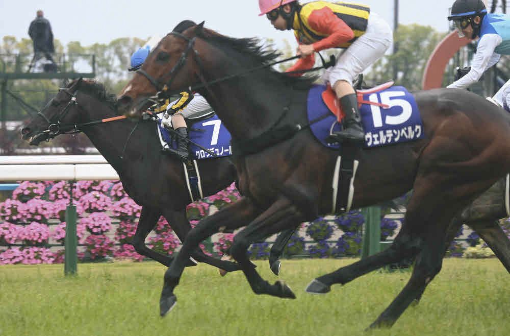 本城雅人コラム】3200メートル走って鼻差の勝負 クロワデュノールを