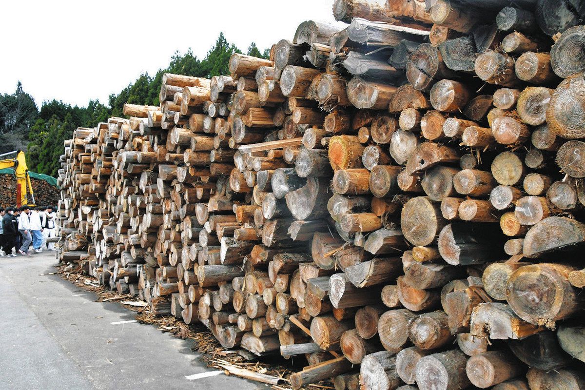 林地残材 燃料に加工 WOODリサイクルセンターさかい(あわら 林地残材 燃料に加工 WOODリサイクルセンターさかい(あわら