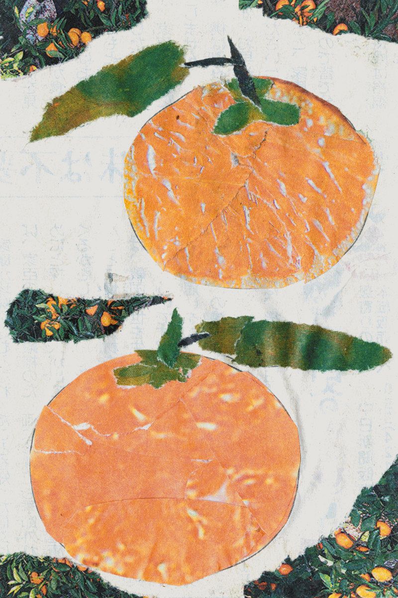 みかん 油彩画 森田和昌 | nuancebeans