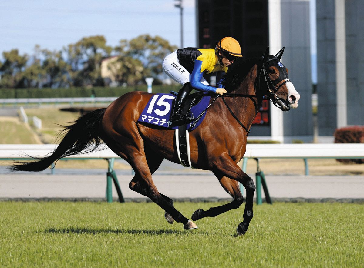京王杯スプリングC展望】スプリントG1馬ママコチャが初の東京に参戦