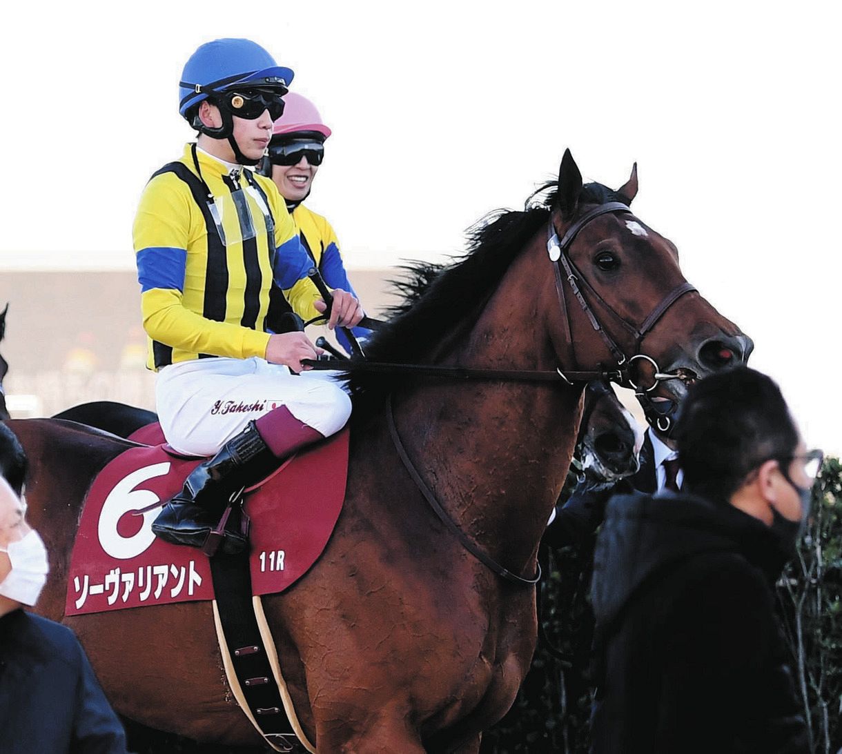 【中山記念】1番人気のソーヴァリアントは9着「追ってからの反応が…」鞍上にとっても不可解な負け方:中日スポーツ・東京中日スポーツ