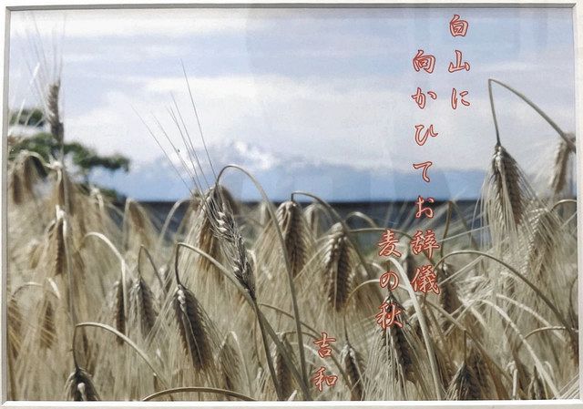 俳句と写真 夏一対 白山 千代女の里館 企画展 北陸中日新聞web