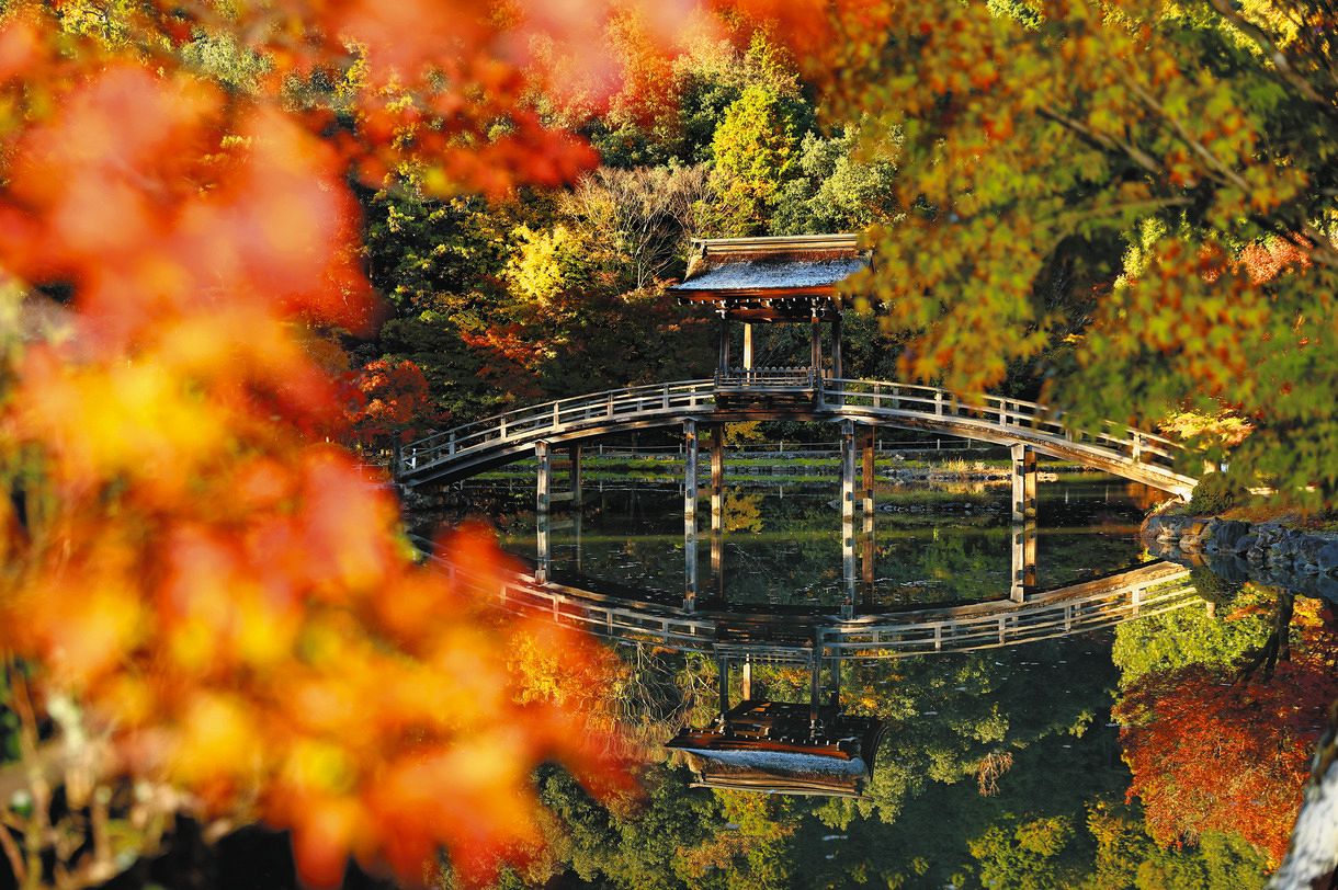 紅葉に包まれた臥龍池に架かる「無際橋」