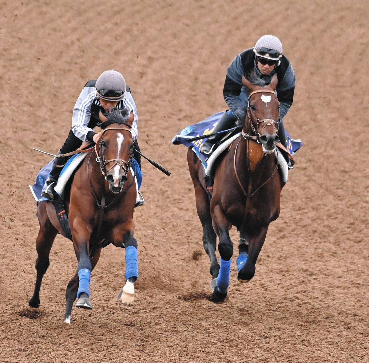 公の場での発言・インタビュー報道記録