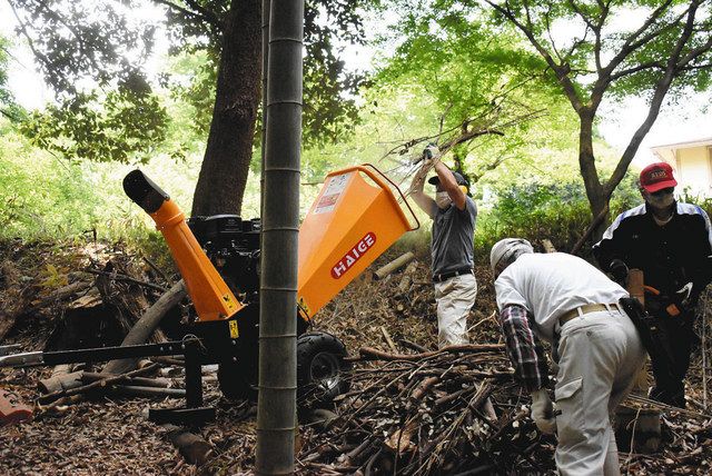 岩津城址で伐採整備活動 岡崎の市民団体 中日新聞web