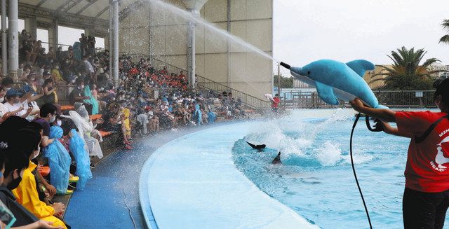 イルカの水しぶきで涼しく 南知多ビーチランド １７日から夏のショー 中日新聞web