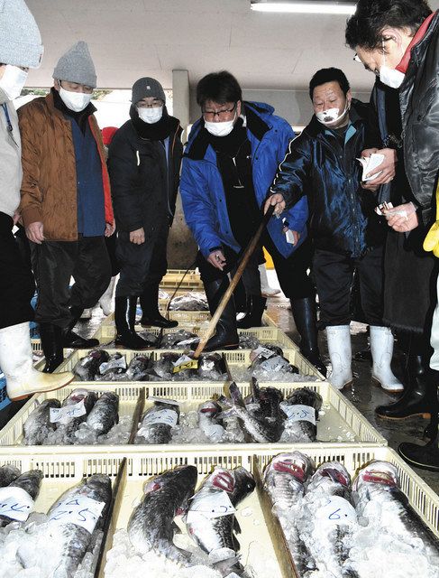 初競り 宇出津港に活気 ブリなど種類も量も豊富 北陸中日新聞web